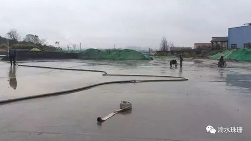 拆鍋爐、抑揚塵、禁焚燒 珠珊鎮大氣污染防治成效顯著，合同能源管理助力綠色發展