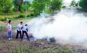 禁止焚燒秸稈，推動大氣污染治理，守護生活環境
